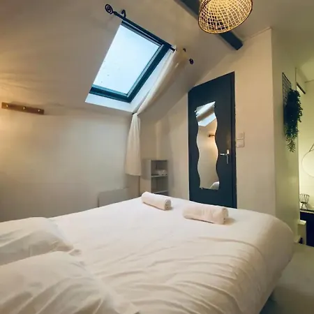 Joli Duplex - Centre - Amazonie Lägenhet Angers