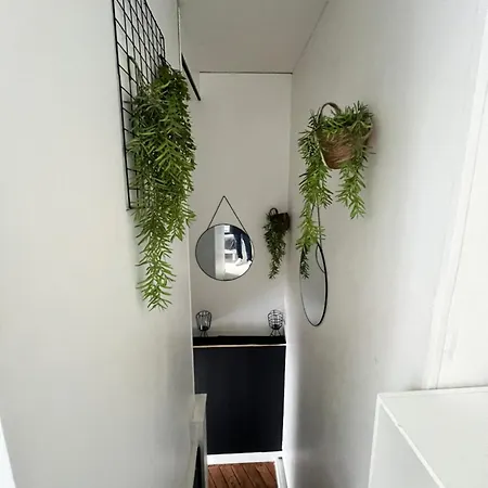 Joli Duplex - Centre - Amazonie Apartment Angers