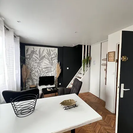 Joli Duplex - Centre - Amazonie Angers