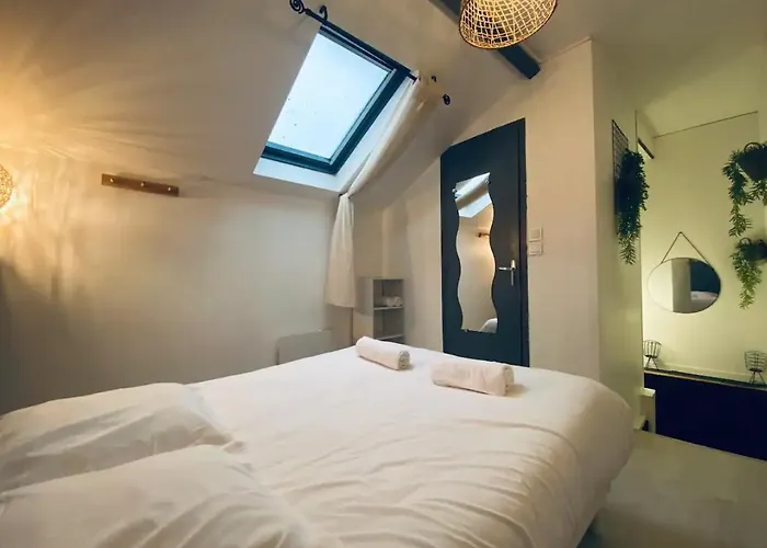 Joli Duplex - Centre - Amazonie Lägenhet Angers