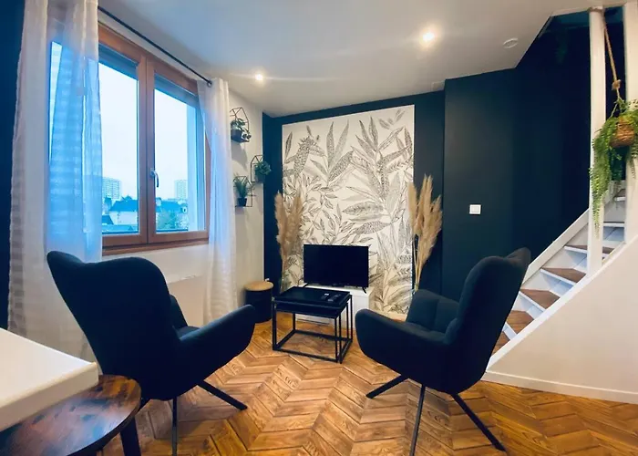 Joli Duplex - Centre - Amazonie Lägenhet