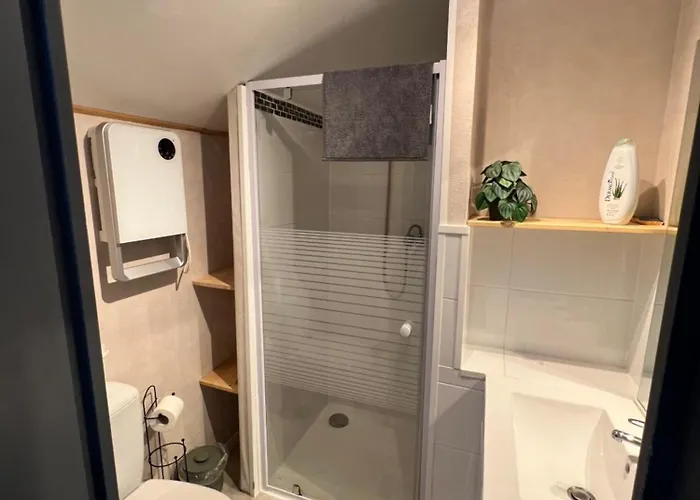 Appartamento Joli Duplex - Centre - Amazonie *