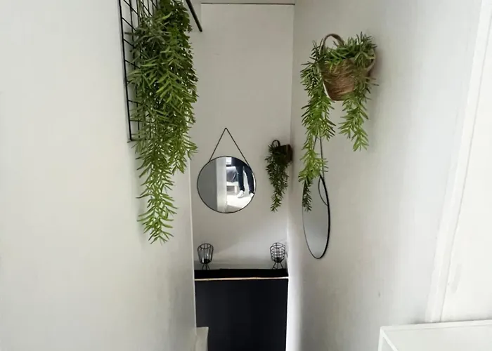 Joli Duplex - Centre - Amazonie Appartamento Angers