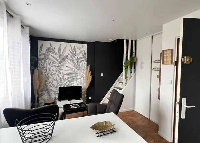 Joli Duplex - Centre - Amazonie Angers