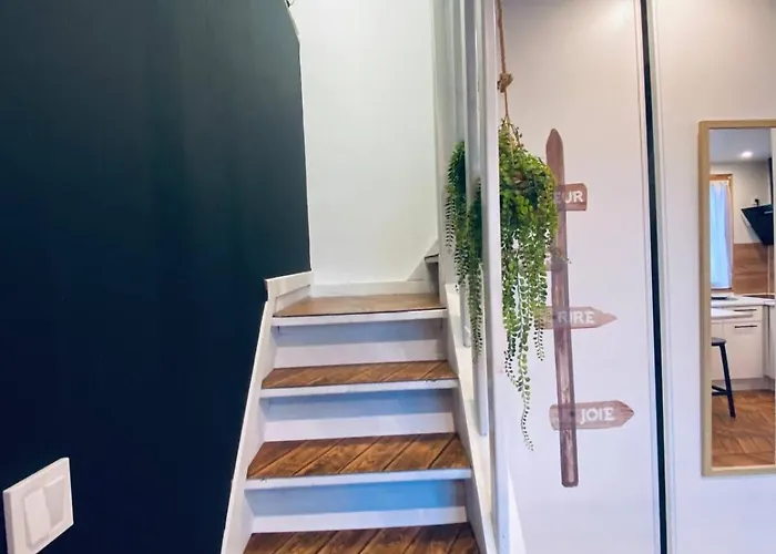 Joli Duplex - Centre - Amazonie Angers